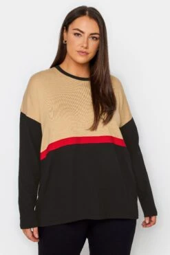 City Chic Manon Baptiste Black & Brown Colour Block Jumper